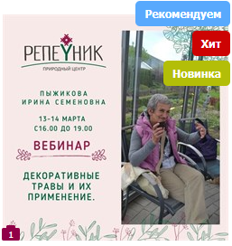 [Репейник] Декоративные травы и их применение [Ирина Пыжикова]