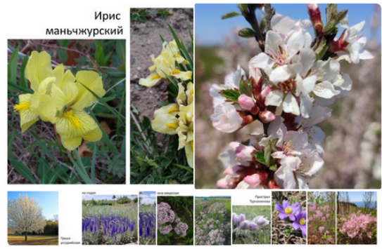 [РФК] Весеннее великолепие [Аркадий Безделев]