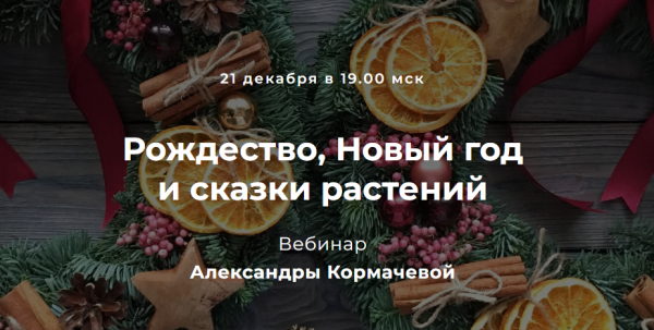 Рождество, Новый год и сказки растений [Александра Кормачева]