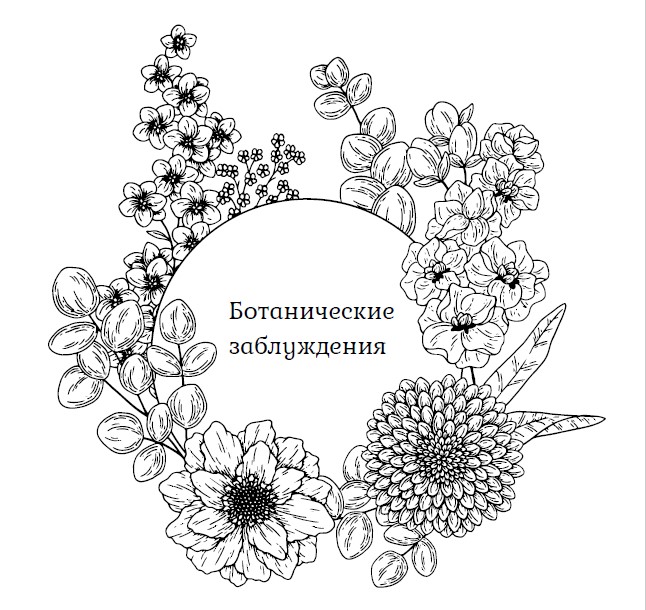 Сборник ботанических заблуждений [Виолетта Сорокина]