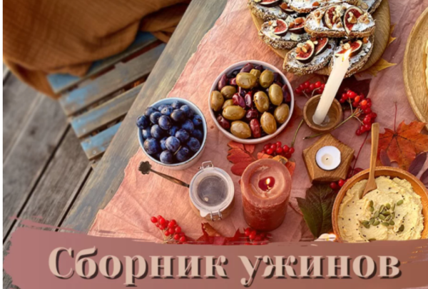 Сборник рецептов Ужины [Ильзира Карагузина]
