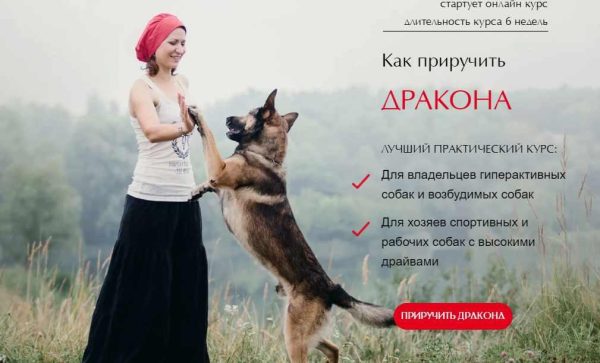 [Школа бесконфликтной дрессировки] Как приручить Дракона. Тариф Все сам [Ульяна Мальцева]