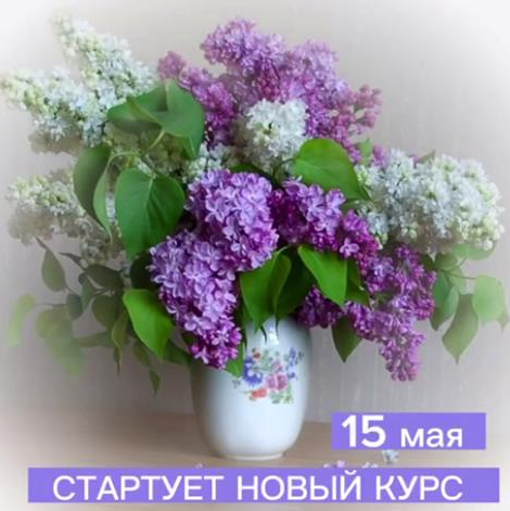 Сирень [Виталий Антипин]