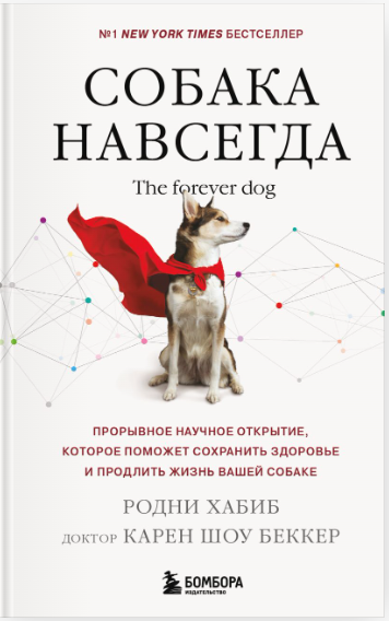Собака навсегда. The forever dog [Родни Хабиб]
