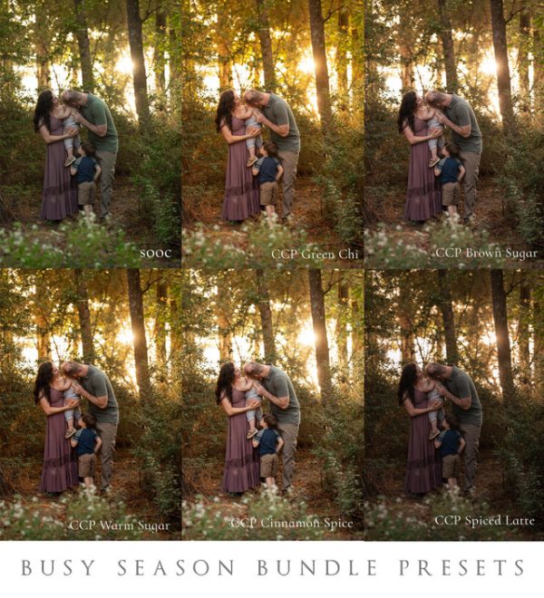 Солнечные пресеты. Busy Season Preset Bundle [Chubby Cheek]