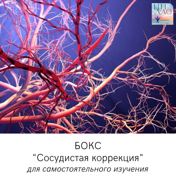 Сосудистая коррекция [Сергей Матюшкин]