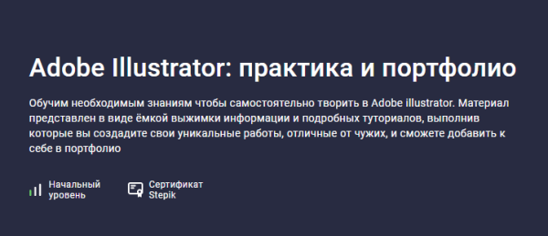 [Stepik] Adobe Illustrator: практика и портфолио [Анастасия Пшиченко]