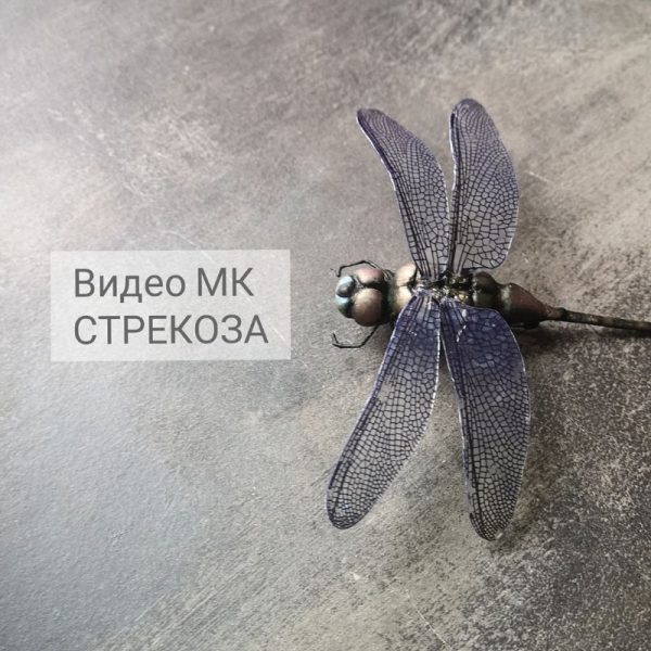 Стрекоза [Анна Рудая]