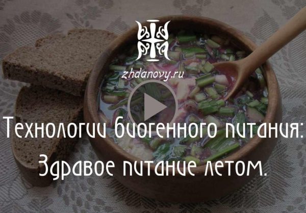 Технологии биогенного питания: здравое питание летом [Гаврила Жданов, Татьяна Жданова]