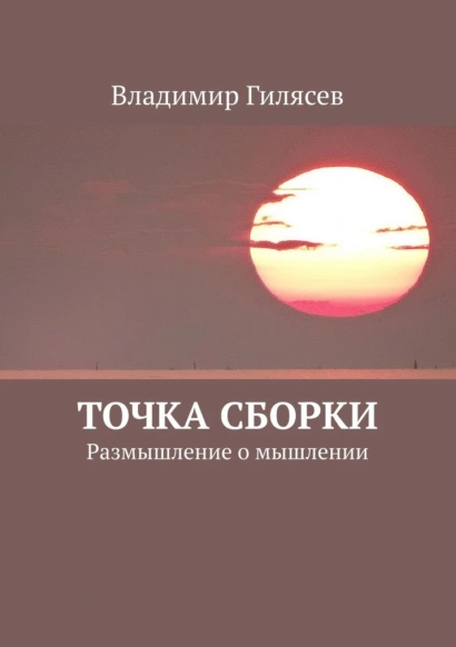 Точка сборки. Размышление о мышлении [Владимир Гилясев]