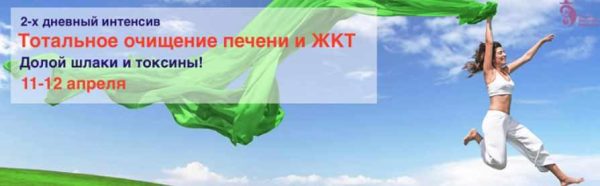 Тотальное очищение печени и ЖКТ. Вип [Владимир Осипов]