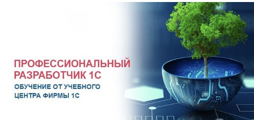 [Учебный центр №1] Профессиональный разработчик 1С