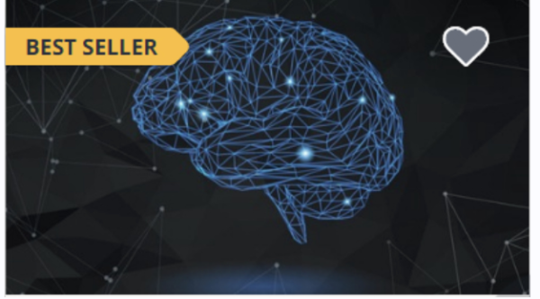 [Udemy] Нейропластичность 2.0  Современный подход к перепрограммированию мозга. Часть 9 из 15 [Сильвио Мариск]
