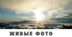 [Udemy] Живые фото на iPhone и iPad. Как на фото добавить движение [Дмитрий Мигунов]