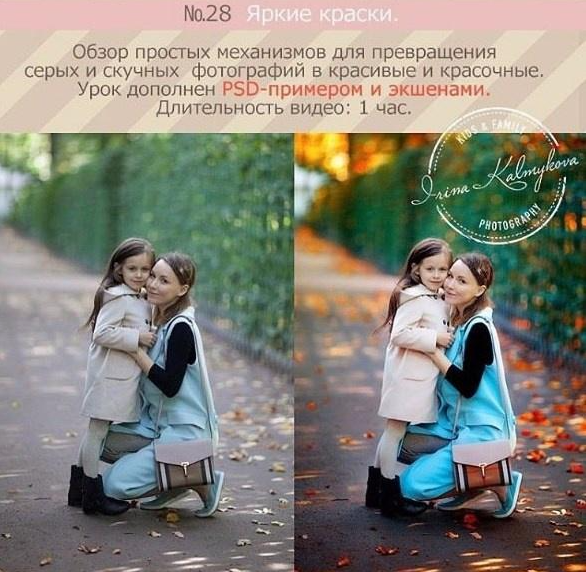 Урок для фотографа №28. Яркие краски [Ирина Калмыкова]