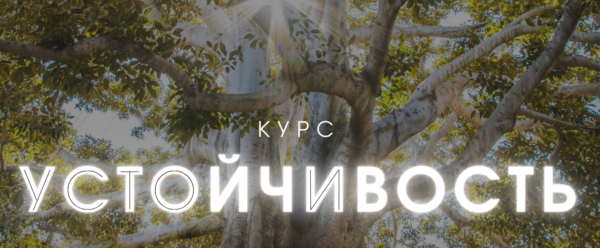 Устойчивость. Тариф Продвинутый [Александра Алексеева]