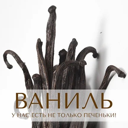 Ваниль: у нас есть не только печеньки! [Анна Зворыкина]