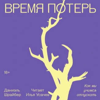 Время потерь. Как мы учимся отпускать. Аудиокнига [Даниэль Шрайбер]