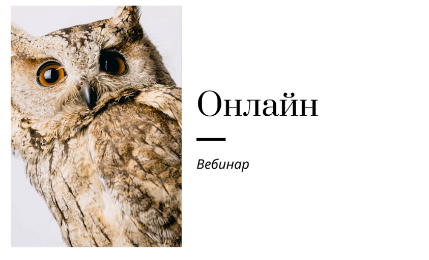 [Записки репетитора] Вебинар по работе онлайн  [Ирина Кузнецова]