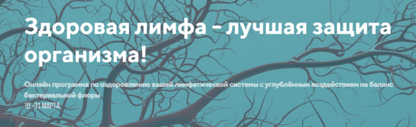 Здоровая лимфа  лучшая защита организма. Пакет Информативный [Светлана Калмыкова]