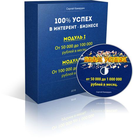 100% успех в интернет-бизнесе [Сергей Камардин]