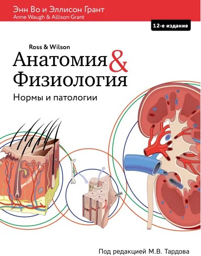 Анатомия и физиология. Нормы и патологии [Энн Во, Эллисон Грант]