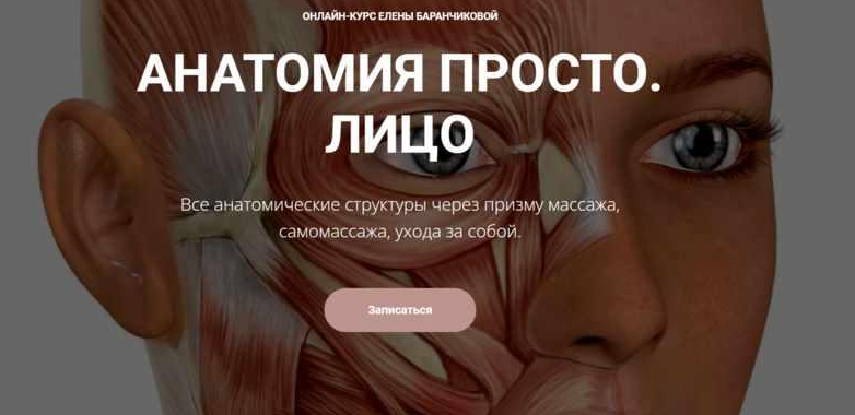 Анатомия просто. Лицо [Елена Баранчикова]