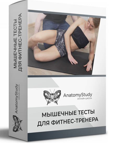 [anatomystudy] Мышечные тесты для фитнес тренера 2021 [Андрей Богатырев]