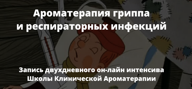 Ароматерапия гриппа и респираторных инфекций [Александра Кожевникова]