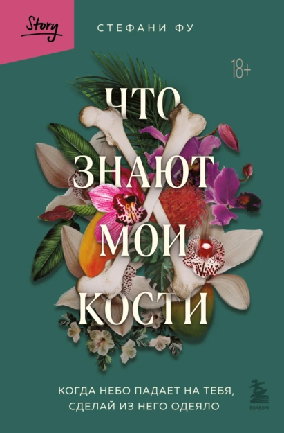 Что знают мои кости. Когда небо падает на тебя, сделай из него одеяло [Стефани Фу]