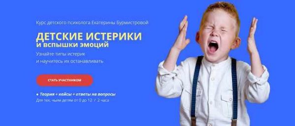 Детские истерики и вспышки эмоций. Стандарт [Екатерина Бурмистрова]
