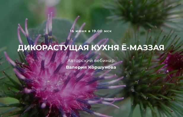Дикорастущая кухня Ё-маззая [Валерий Коршунов]
