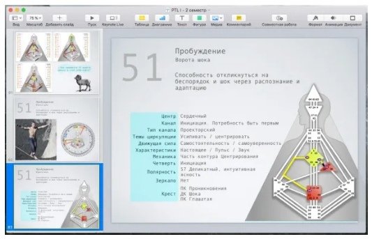 [Дизайн Человека] Курс PTL I месяц 2 [Виктор Крючков]