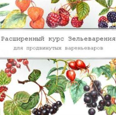 [dom_ulitki] Курс зельеварения Осенняя Кладовая [Ирина Таро]
