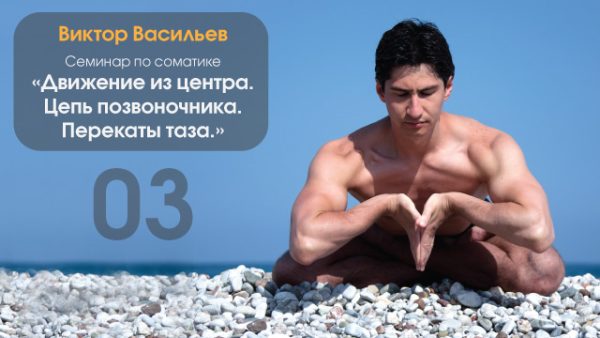 Движение из центра. Цепь позвоночника. Перекаты таза [Виктор Васильев]