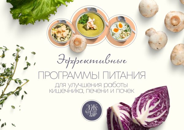 Эффективные программы питания для улучшения работы кишечника, печени и почек [Сергей Леонов]