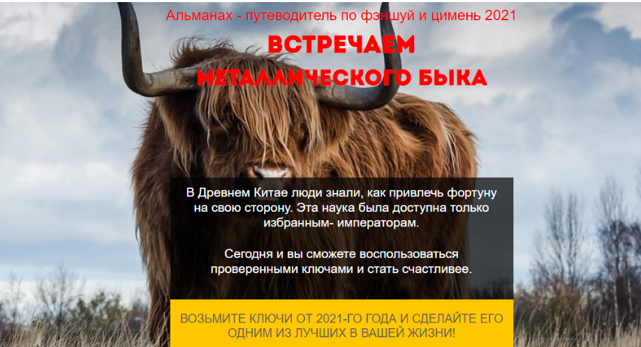 Фэншуй путеводитель по году Металлического Быка 2021. Тариф  Стандарт [Нинель Смолина]