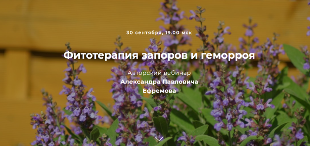 [FestTrav] Фитотерапия запоров и геморроя [Александр Ефремов]