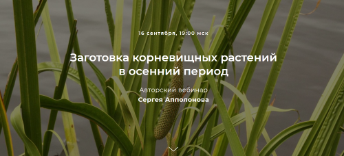 [FestTrav] Заготовка корневищных растений в осенний период [Сергей Аполлонов]