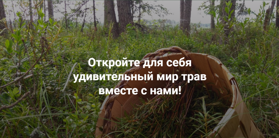 [Fitomama] Фитопрофилактика коронавирусной инфекции [Елена Корсун]