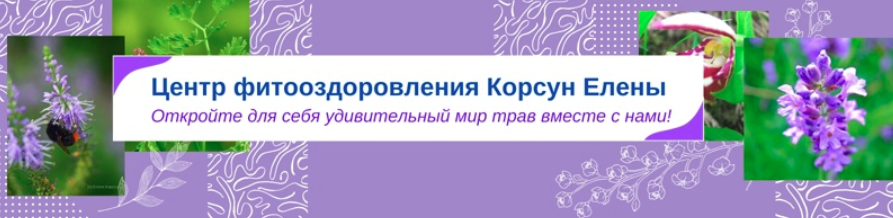 Фитотерапия при тромбозах [Елена Корсун]