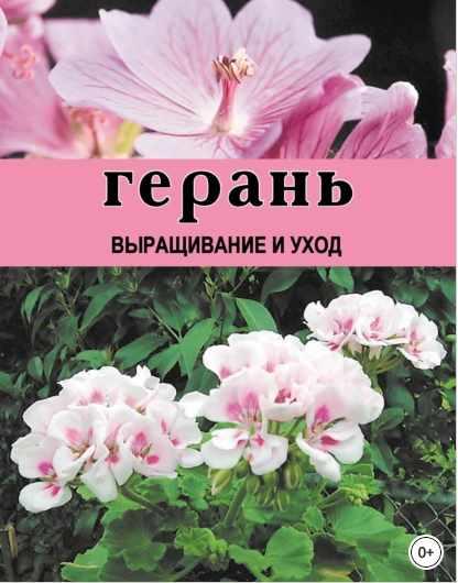 Герань. Выращивание и уход [Дарья Резько]