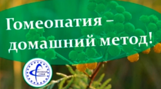 Гомеопатия  Домашний Метод [Владимир Заворотный]