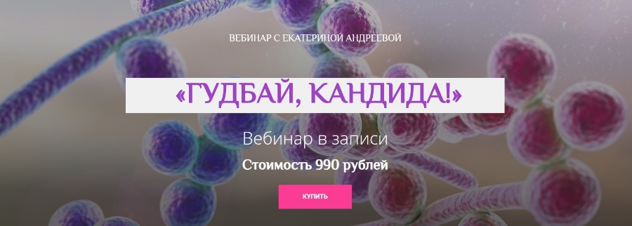 Гудбай, кандида [Екатерина Андреева]