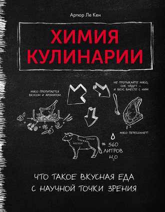 Химия кулинарии. Что такое вкусная еда с научной точки зрения [Артур Ле Кен]