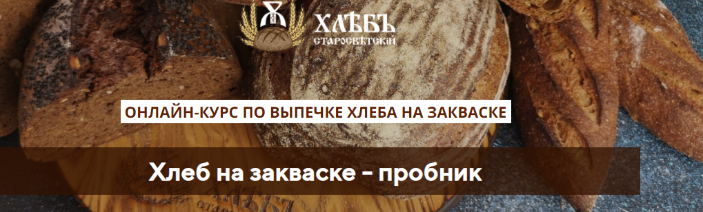 Хлеб на закваске  пробник [Светлана Аристова]
