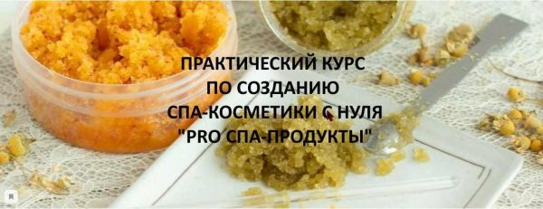 [Home Spa School] PRO Спа-продукты, пакет Мастер, ноябрь 2020 [Елена Чилдерс]