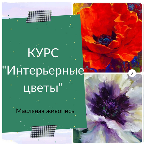 Интерьерные цветы [Ирина Шпакова]