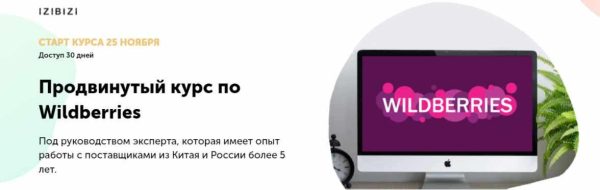[izibizi] Продвинутый курс по Wildberries [Мария Лейкина]