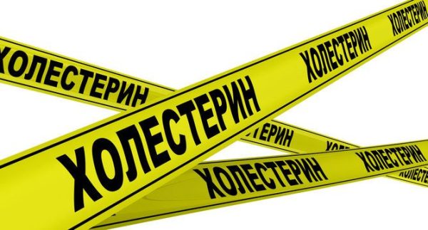Как подружиться с холестерином [Ольга Ковган]